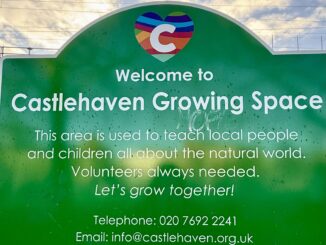 Getting involved: community gardens