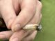 Health effects of smoking: is it worth it?