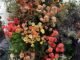 Exploring the bloom: which flower are you, based on your style?