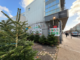 Holloway Road’s Christmas tree roadside wonder