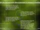 Saudi Arabia and their first women’s football league