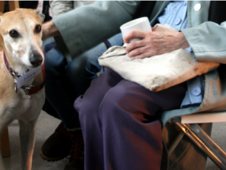 Do you feel lonely? Get a pet!