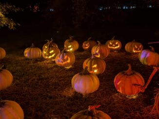 Evolving traditions: is Halloween’s origin dead?