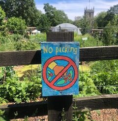 Stepney City Farm – your next favourite summer spot