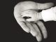 Improving care under the Mental Health Act