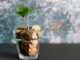 11 clever – or not so clever – tips to save money during the cost-of-living crisis