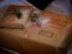 Christmas shadowed by Grinch-like thieves