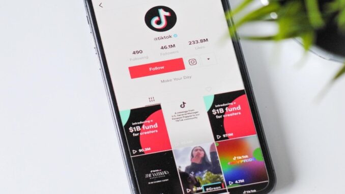 TikTok-approved beauty products