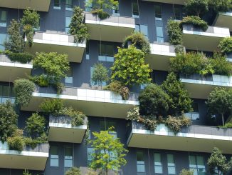 Islington to create its first liveable neighbourhood