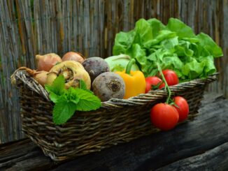 Hilldrop Community Centre is part of Islington Food Week, focusing on eating healthy and locally produced food